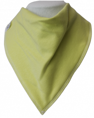 **NEW** Wild Lime Single Dribble Bib