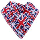 Fly The Flag Single Bandana Bib