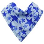 Blue Starlight